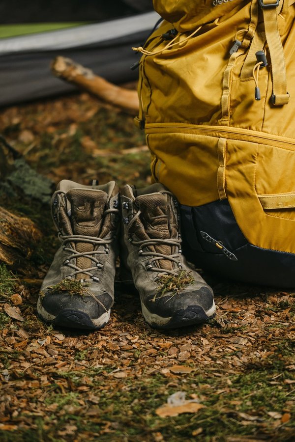 What Are the Challenges and Opportunities for UK Sustainable Tourism Startups?