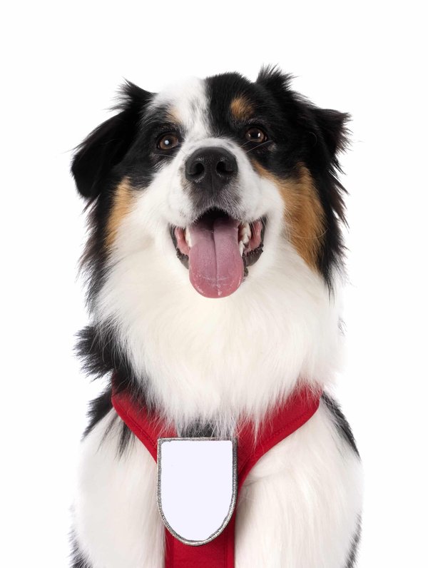 What's the Best Way to Create a Custom Engine Bay Layout for Improved Servicing in a Nissan Skyline GT-R?